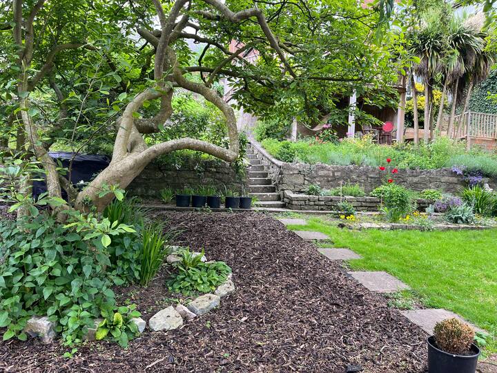 75344d34 4e24 44b8 aa1f 09bfe79327ff