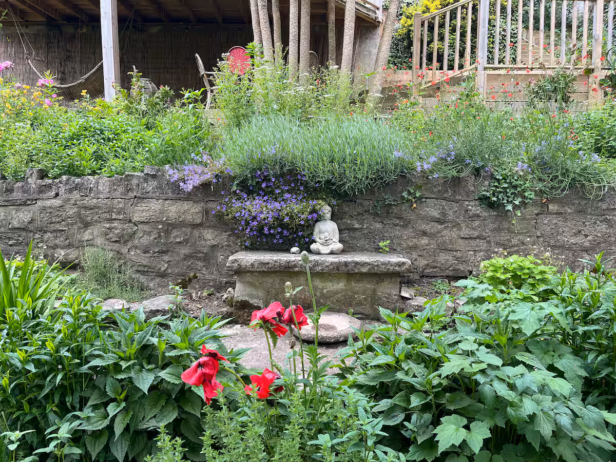 ca818498 5d4b 4f0d 8aeb 3a6dfec5e512.jpeg