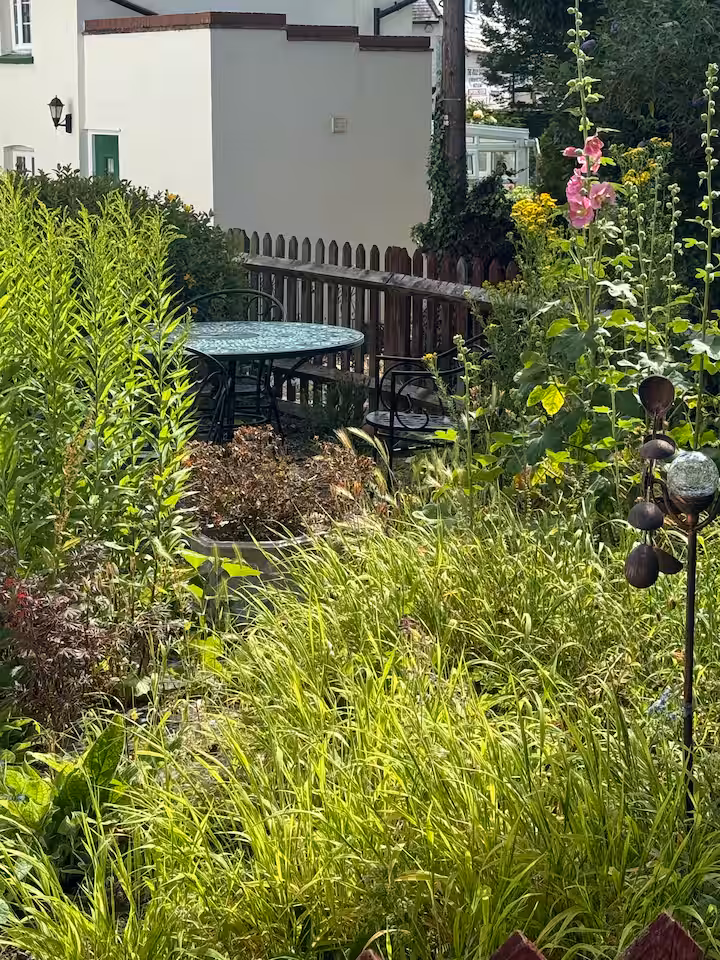 28253cb4 ec78 4846 b2ca bc22b421ba4e.jpeg