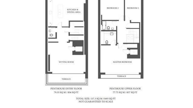 penthouse apartment floor plan wide