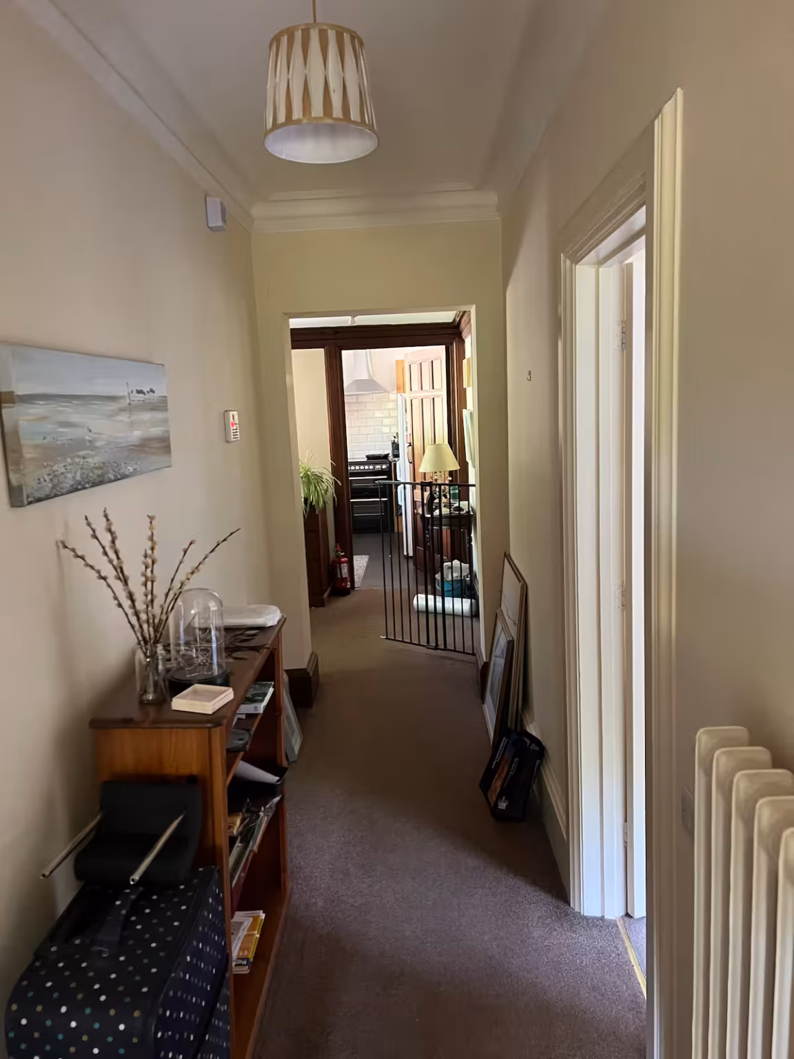 0384c017 28bf 4f1a 8ccd 611702baac8c.jpeg