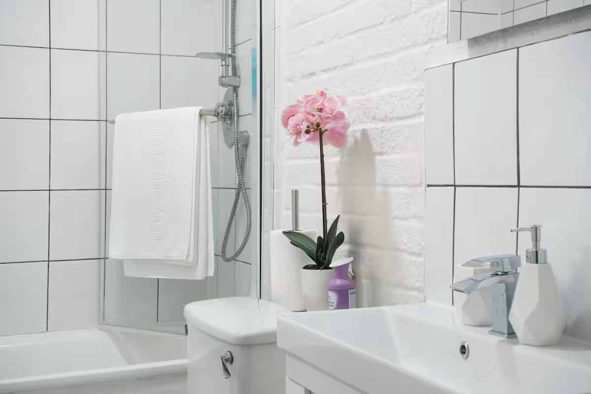 366651a8 5a44 4f65 9752 b352444c48dd.jpeg