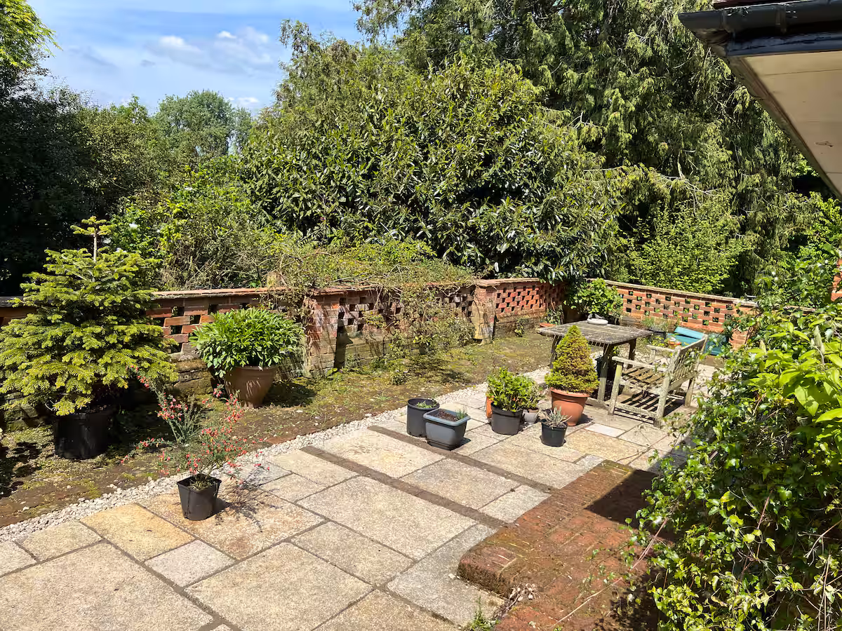 3681fb1f 69fc 42aa be39 79a4ba613eba.jpeg