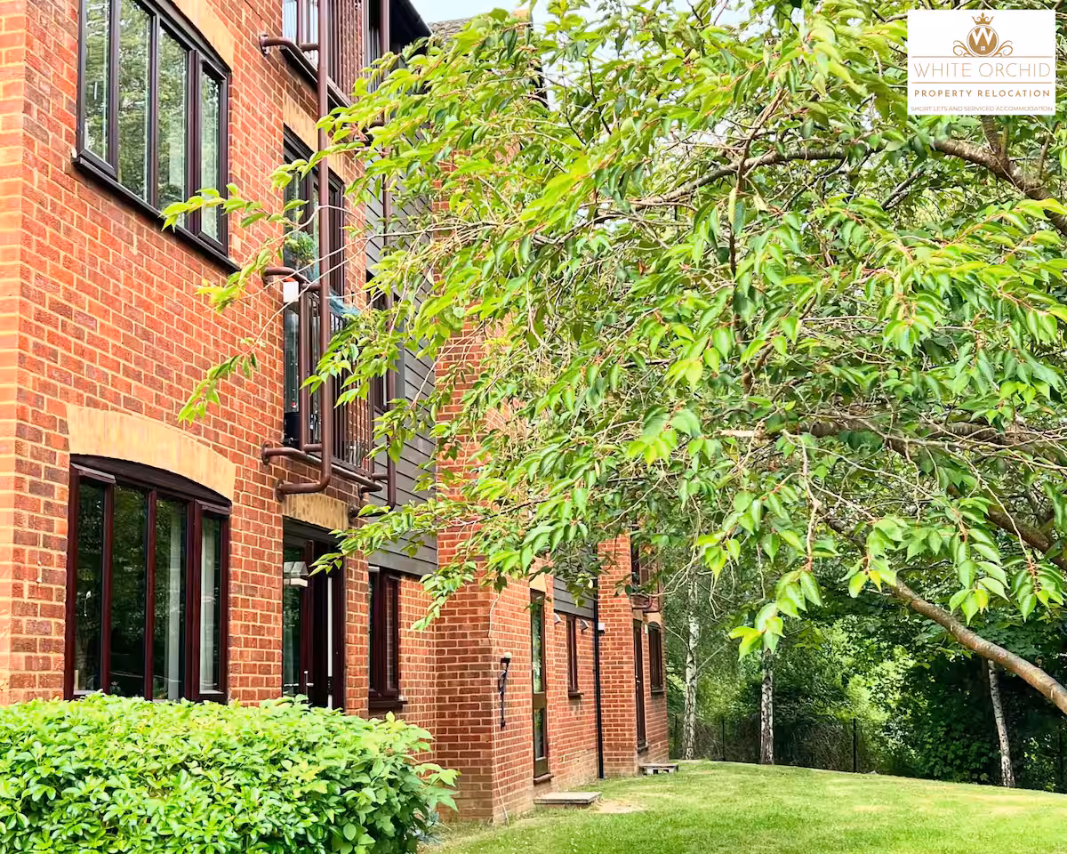 98ad552f e293 487d 83aa 7a41b76d2ab5.png