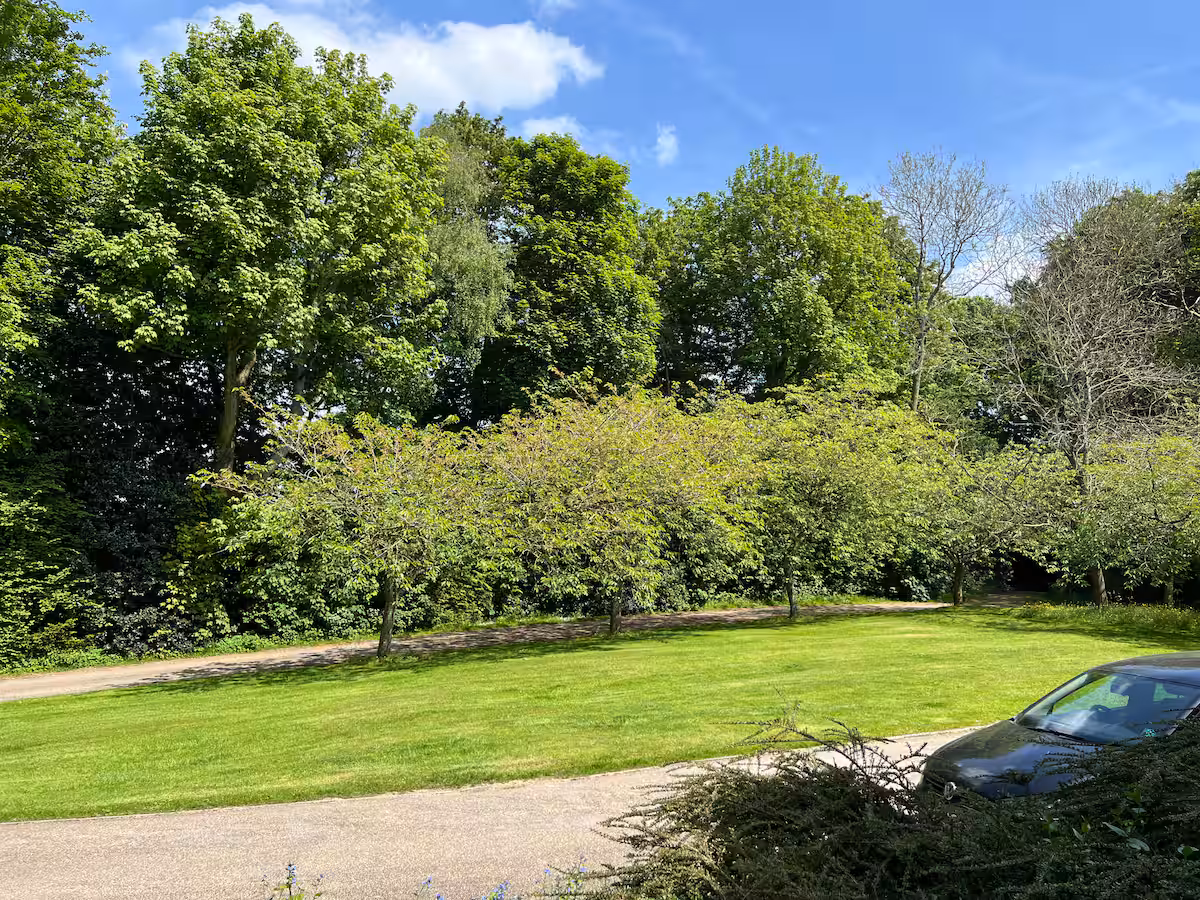 aae2ceea 5552 44cd 85f5 2bba9beace23.jpeg