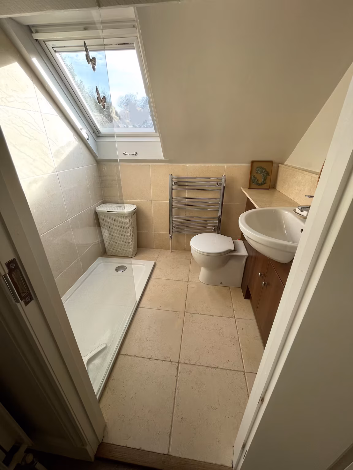 ada93279 657a 4977 8a4e 1c2ee81b9081.jpeg