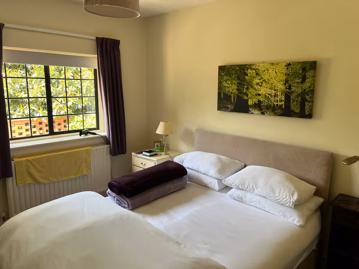 c3999772 8fa2 4e31 b352 117a93398dac.jpeg