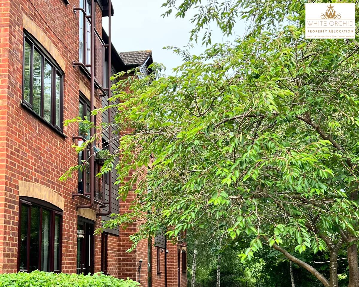 c89c8cba 8db9 4c89 a51f 0541ff4dfe0b.png