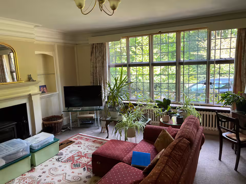 fb1d1533 a27d 426a a6f7 bb8bccf15c77.jpeg