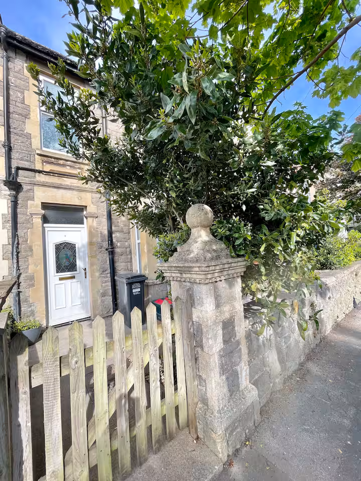 66d9b9f6 06fd 4357 87da 43ad5db7b999.jpeg