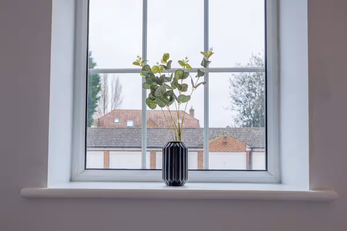 6b53d8fd 29d0 4b50 ad71 194605c046c8.jpeg