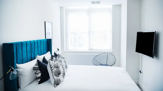 image 5dd6b737e04072 29746555.jpg