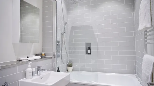 image 6218b5bcb84443 25920355.jpg