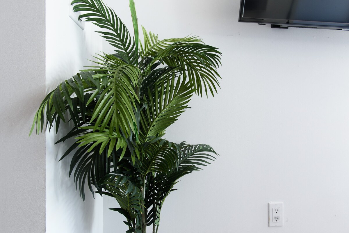 original 50197398 1191429726