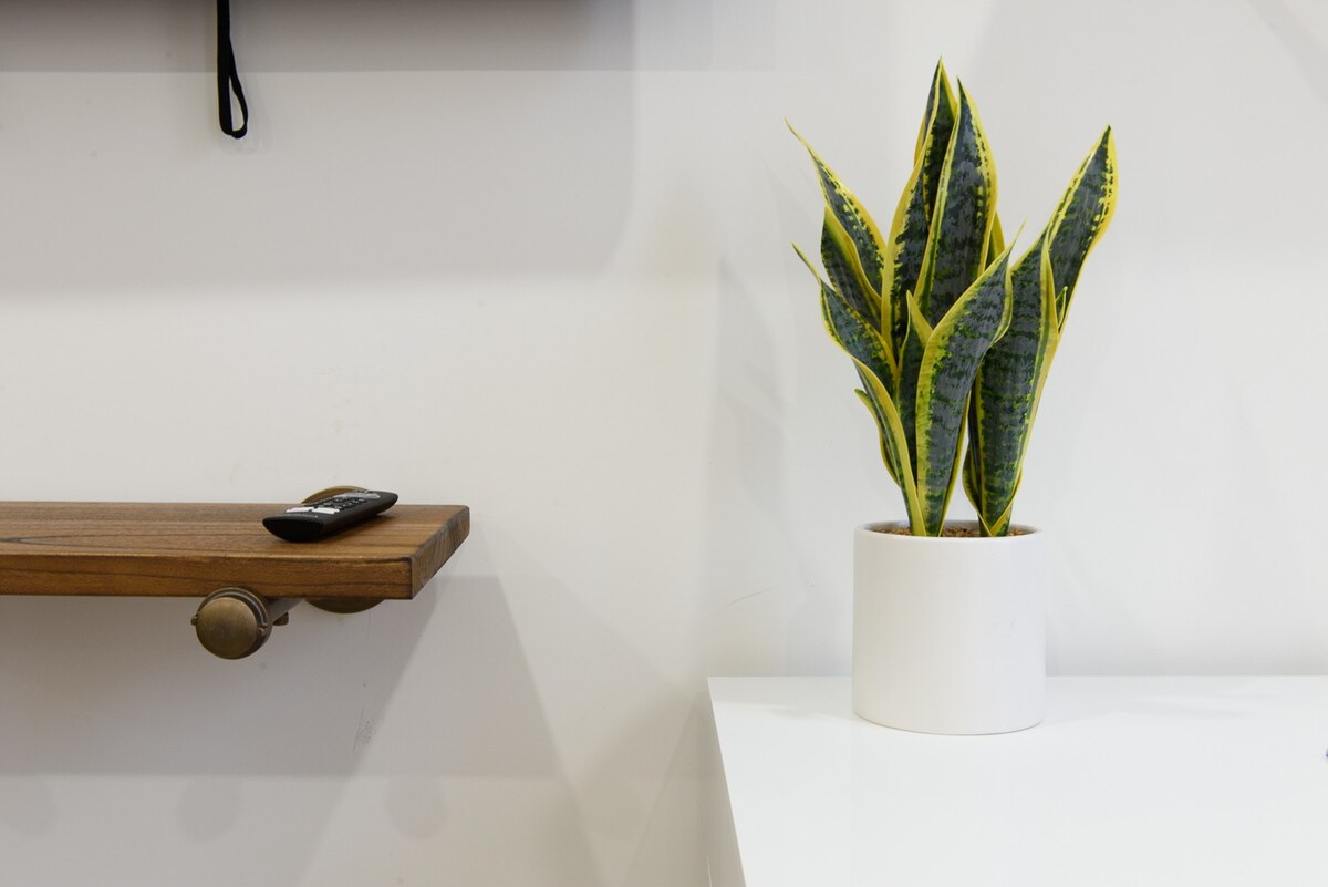 original 695587837737576376 1472219894