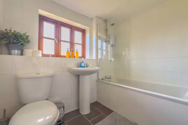 8ad7b8da b744 4f1b ab05 3150ef194b8a.jpeg