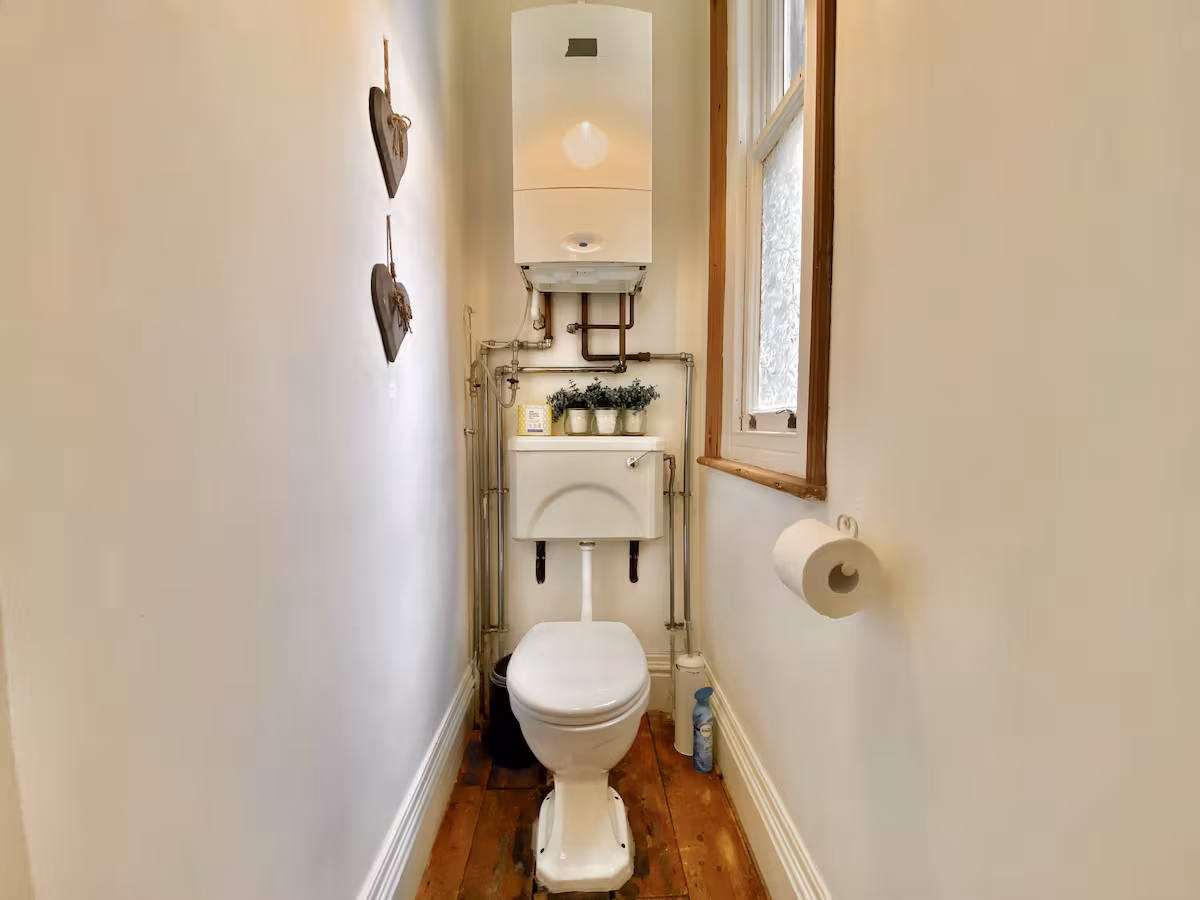 b143cd08 8523 4175 bf5a 01f3cad18827.jpeg