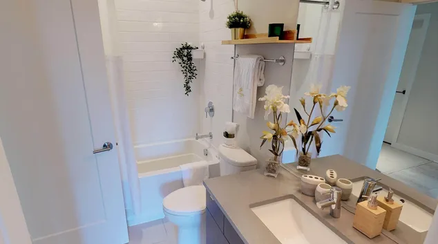 image 61893753d5d373 33421865.jpg