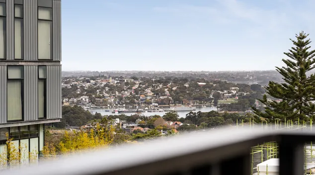 image 64d97fb93b1605 90643541.jpg