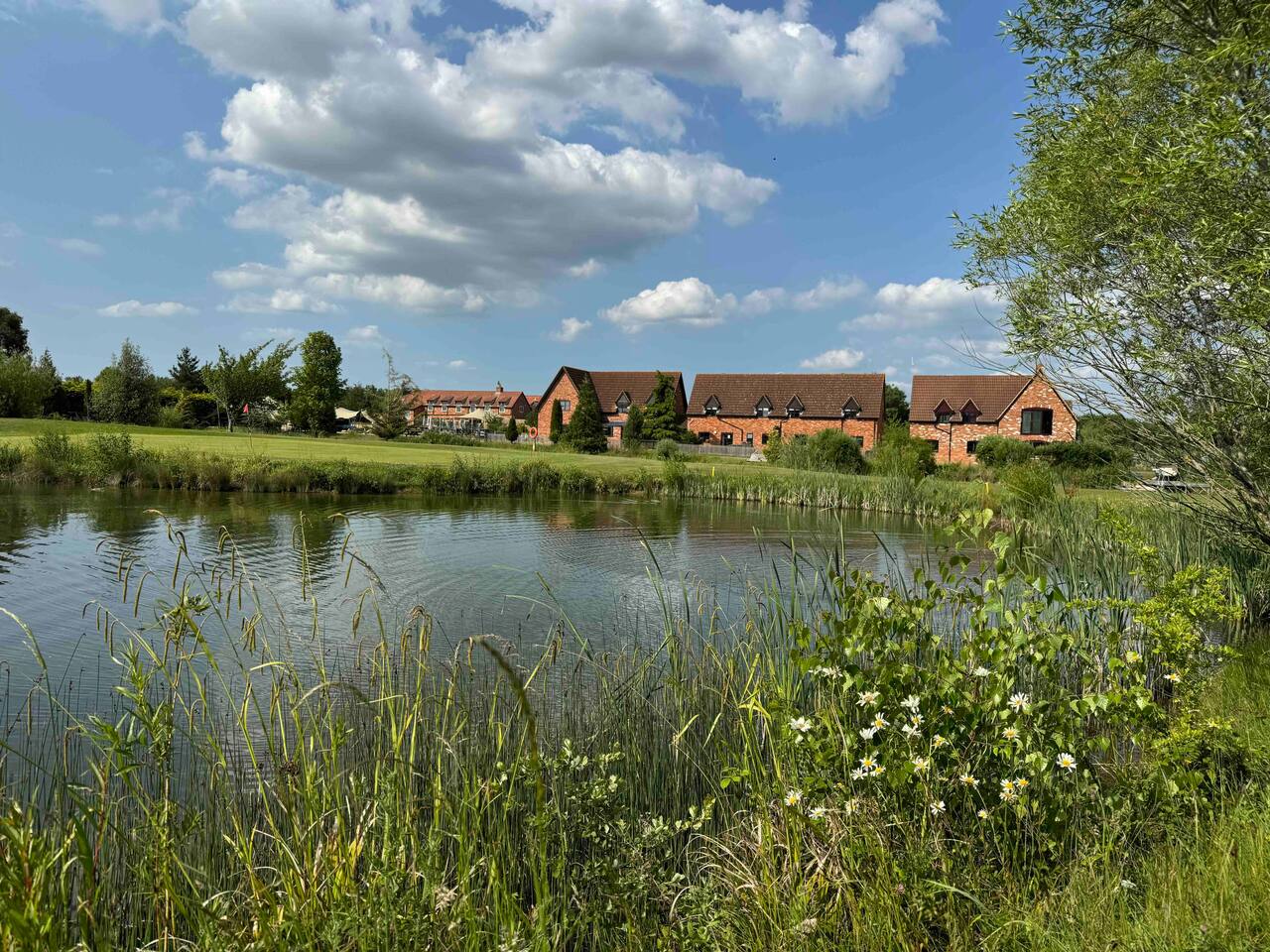 012e1ea3 472e 41e5 8b7b ae3f6ec919df