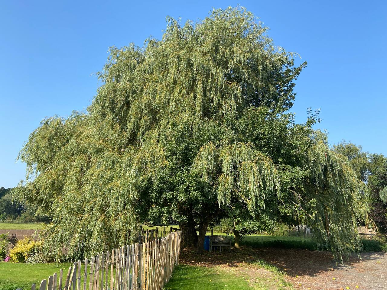 2f272f05 d655 48ee ba8d 156db2e83694