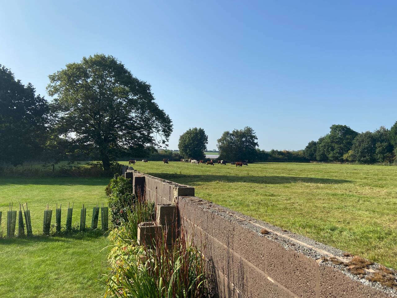 53af039d 0b72 46ba b2b0 68aed3d0f10e 2