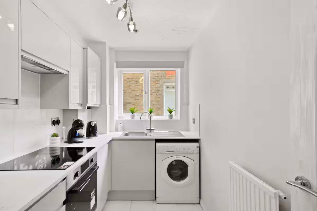 56425c11 ed08 4503 9d33 a685bdeee859.jpeg 2