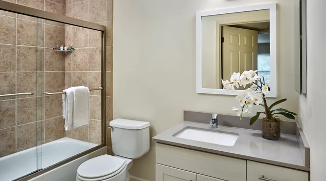 image 5cdadb1216d867 60138286.jpg