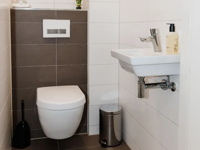 image 6917136158a6b5 38037010.jpg