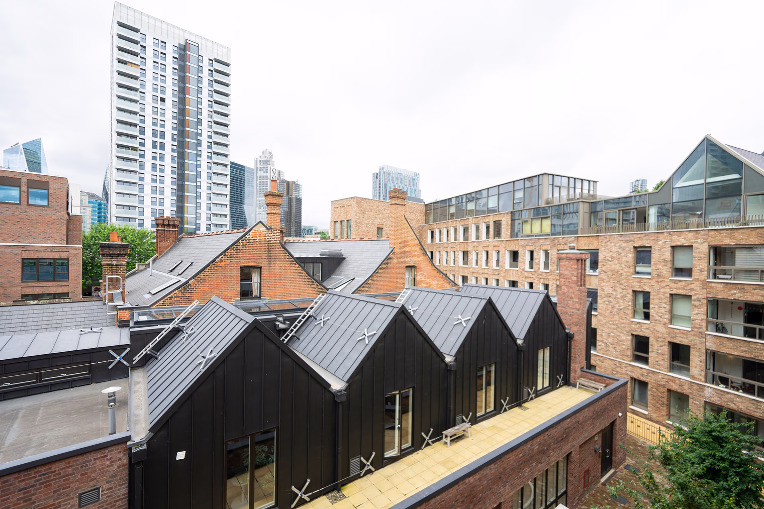 pg17386 o b0a08aa4 7508 5f60 ef63 d5d4f6055246.jpg