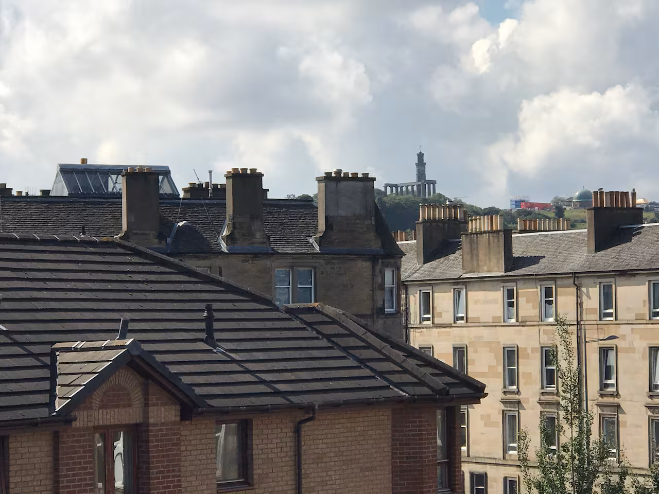 5c7f41d8 b0be 4201 aa88 91a6e4c83d65.jpg