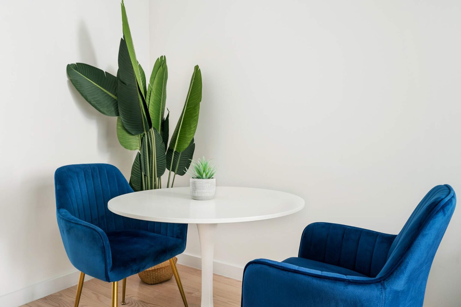 bw1tmplgkdtod5ewkcee