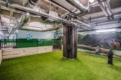 iuieiefvoa76nefwur4u