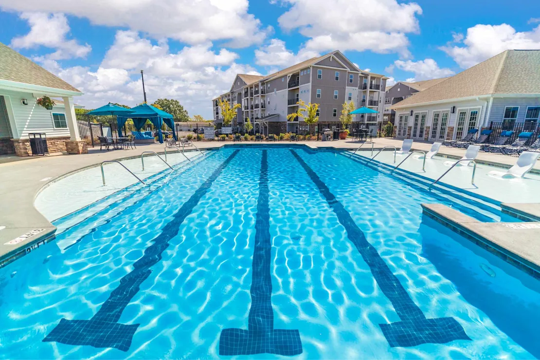 p1956021 4j4a1194 84 1 photogallery