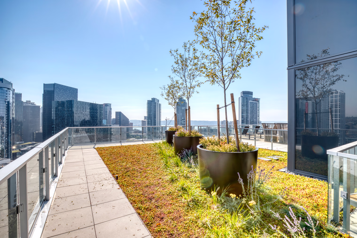 pa25064 o cede9923 2bf3 4720 2e3d c8d25edc8064.jpg