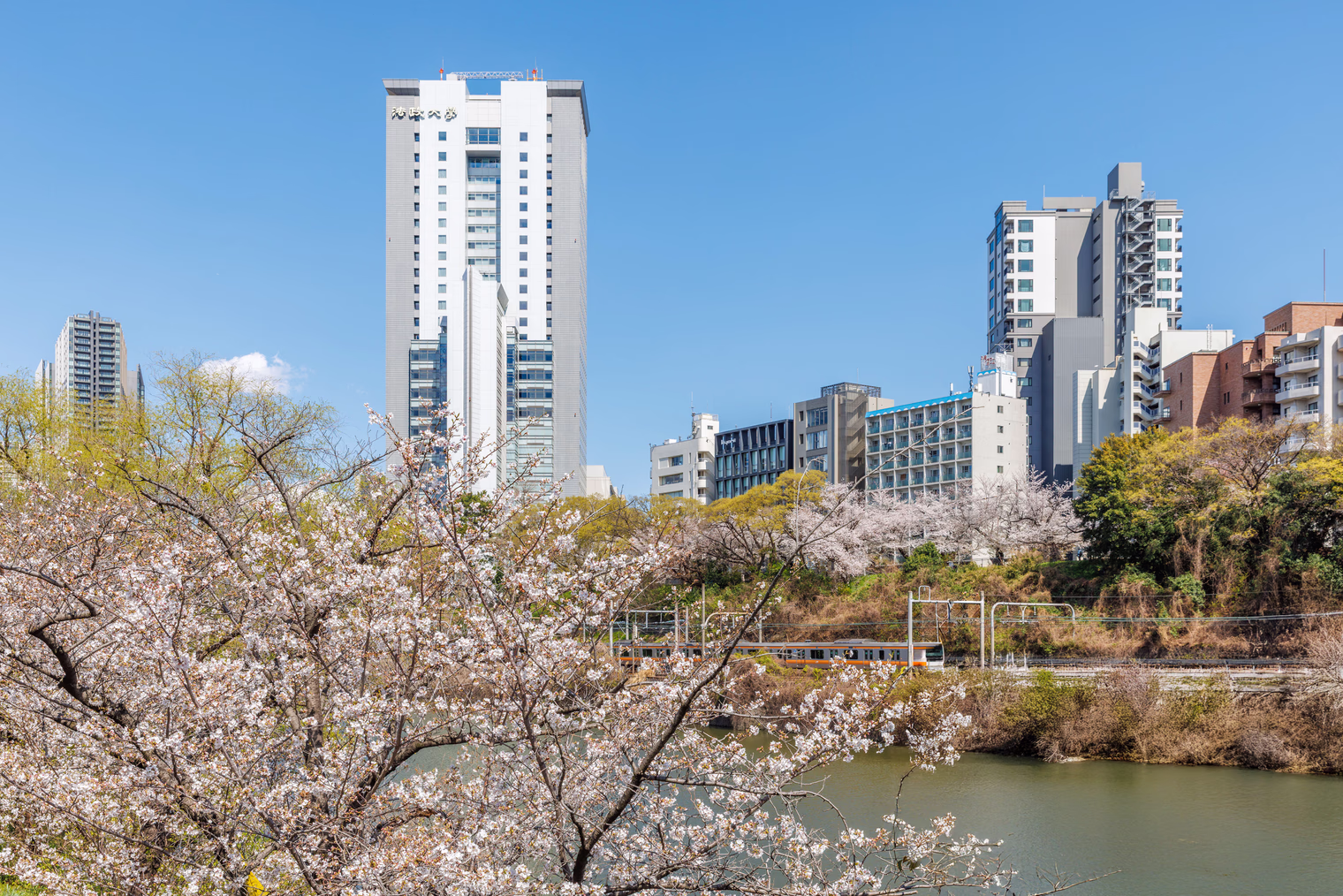 pa61716 o 11ef7969 e8ab 4e2e 98ba c344796c5b6f