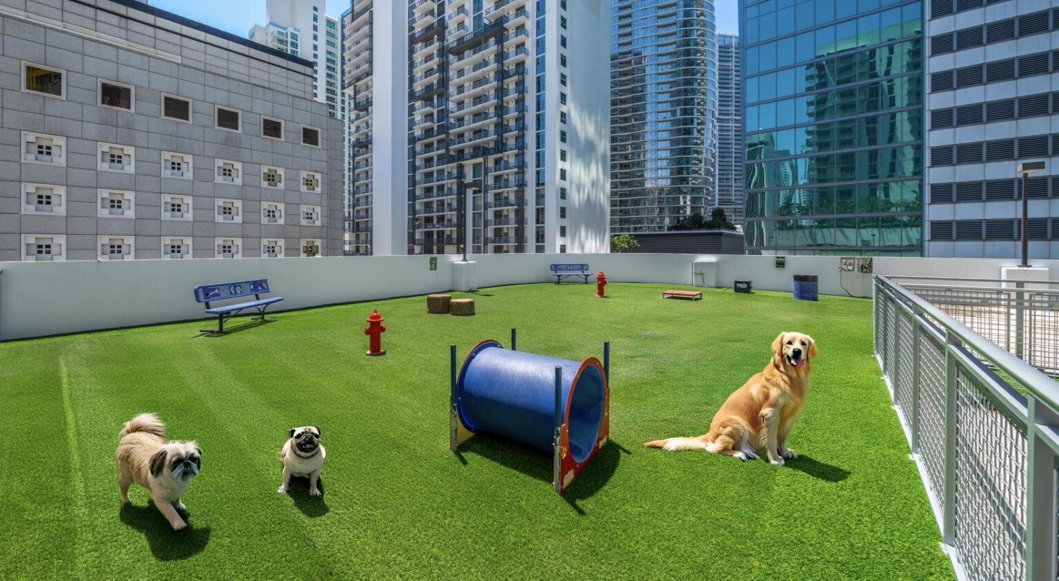 0oyzm9cuo68bpkbst16eldpqql2wzrklzwty8nzx 20830a5808eb02ecba47956945190163