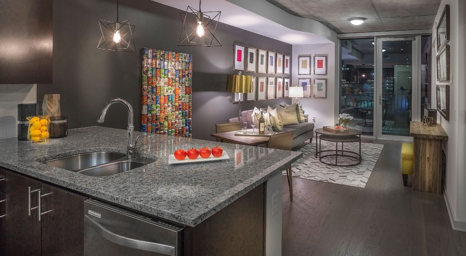 gallery 9 skyhouse downtown 1686 6d19dfda325007604c8eaad2c540b2a2