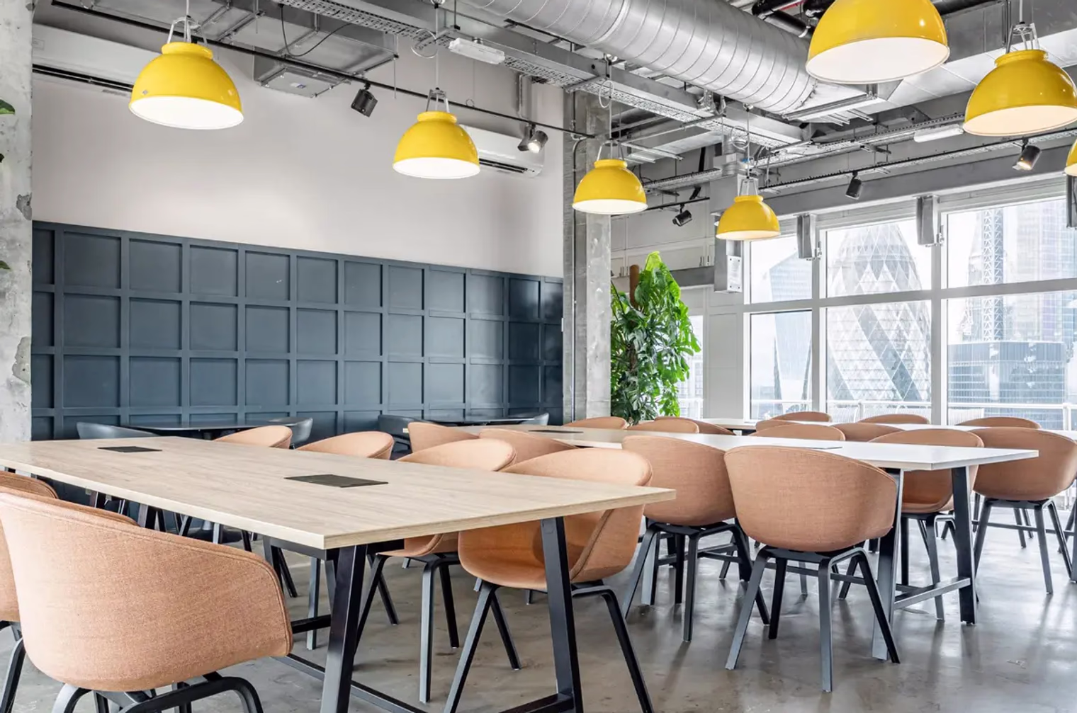 pa165324 o 3cff3709 9a18 42f0 a7de 27145e0f7301.png