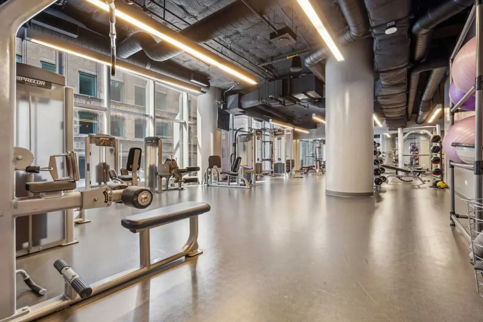 mila gym